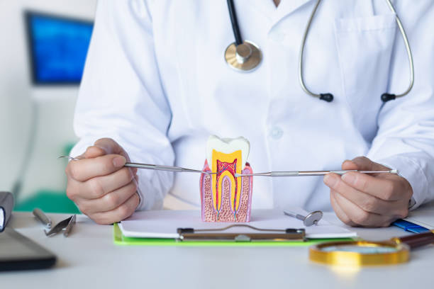 Best Emergency Dental Care for Trauma or Injury in Harrisburg, PA